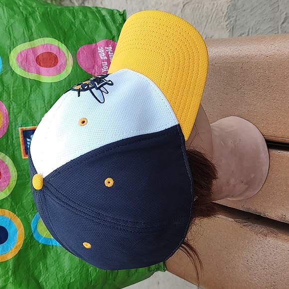 Rochester Community & Technical College Yellow Jackets Embroidered Logo Blue Cap - Picture 8 of 13